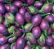 Конфета-фрукт Abtey Assorted Dark Chocolate Liqueur Fruits из темного шоколада с одним из 4 видов фруктового ликера 10 грамм 029685 фото 4