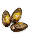 Конфетка-яйцо Figaro Liqueur Egg с яичным ликером из темного шоколада 27,5 грамм 29658 фото 2
